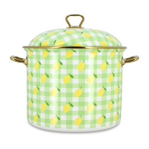 Marmite 24cm en acier émaillé avec motif citron - tous feux VICHY