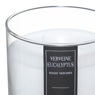 Bougie parfumée ebony eucalyptus