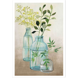 Poster Fleurs médicinales Affiche seule