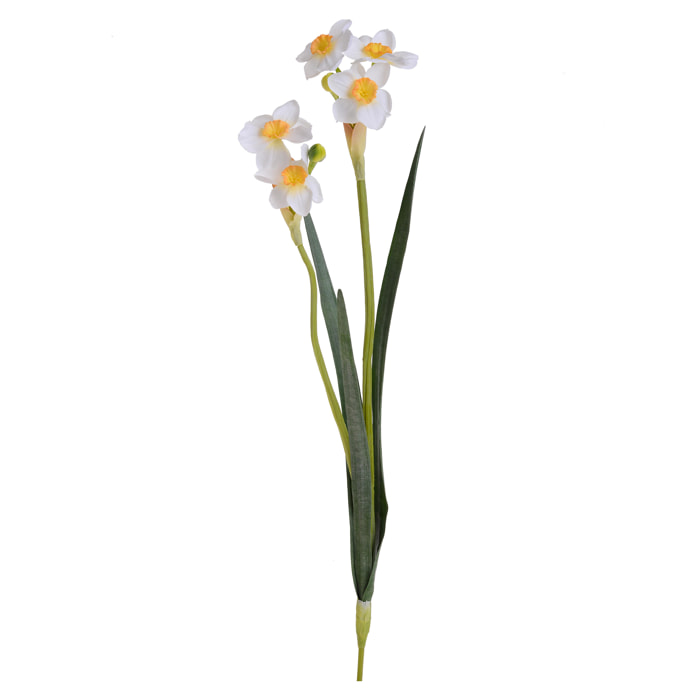 Giunchiglia Con 2 Fiori. Altezza 55 Cm - Pezzi 6 - 16X55X9cm - Colore: Bianco - Bianchi Dino - Fiori Artificiali