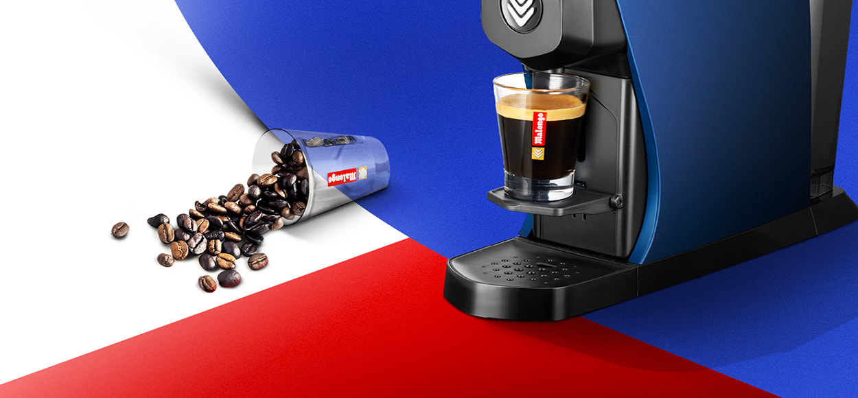 MALONGO à super prix sur VEEPEE