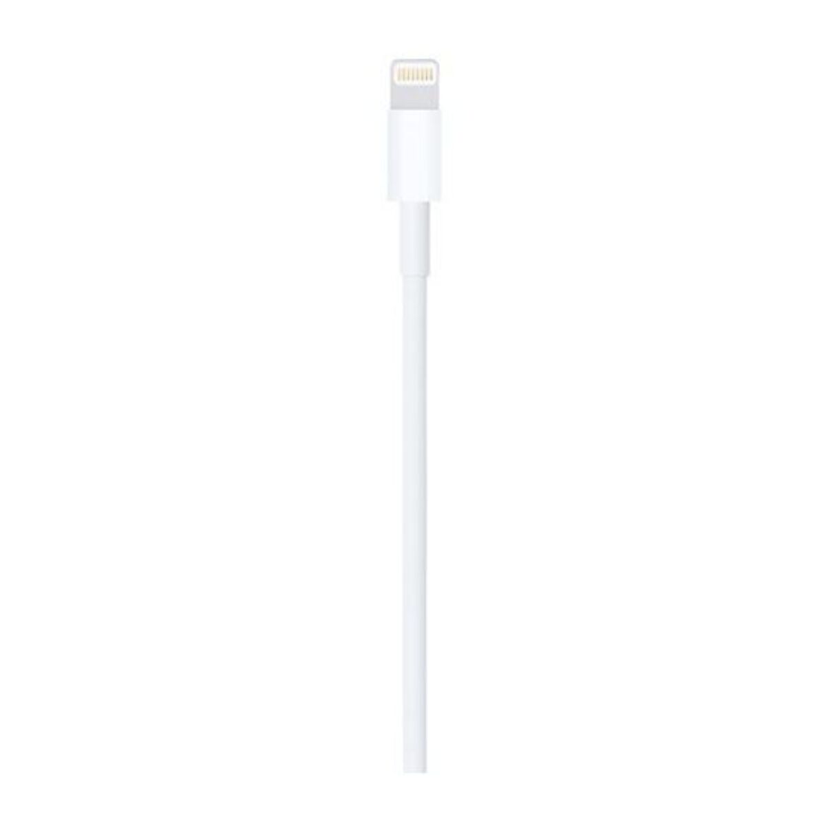 Câble Lightning APPLE Lightning vers USB 1m