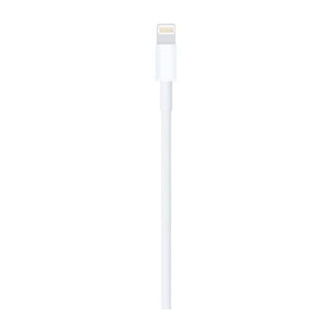 Câble Lightning APPLE Lightning vers USB 1m