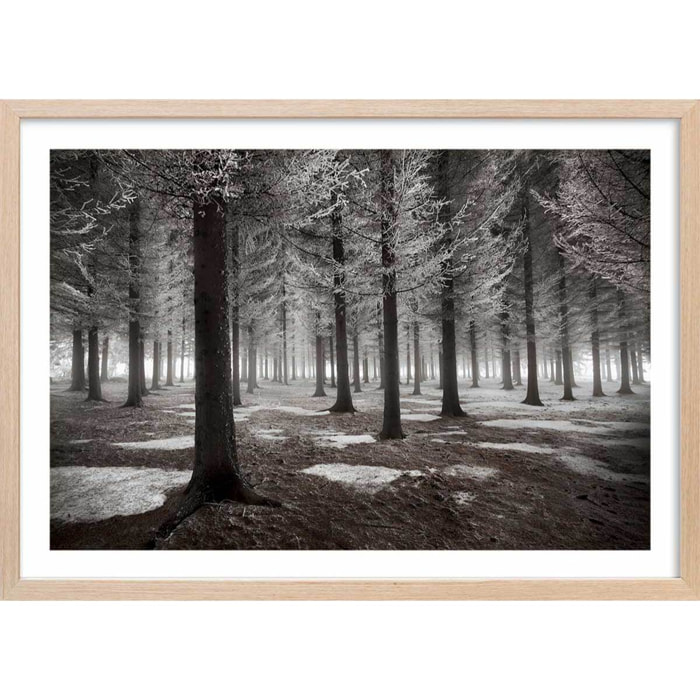 Affiche deco ""debut d'hiver"" Affiche sous cadre bois