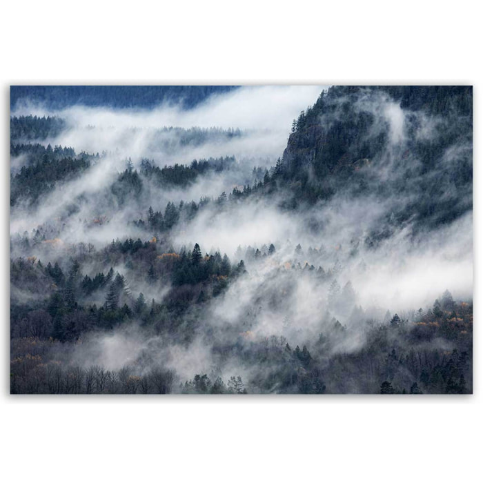 Tableau foret Un chemin de brume Toile imprimée
