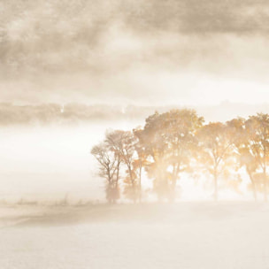 Tableau terre du vent Tableau alu Dibond