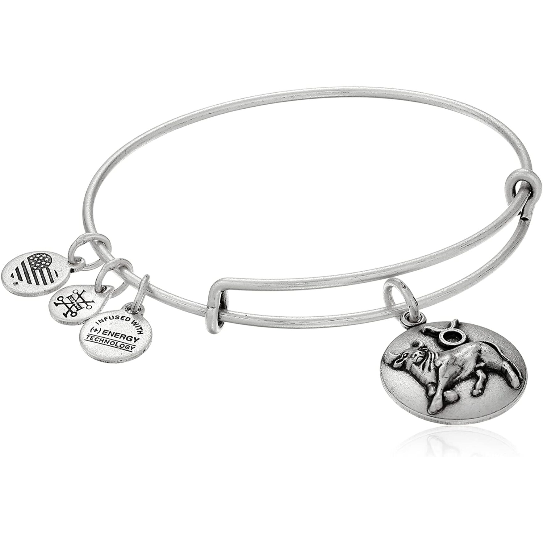 Pulsera Alex And Ani Mujer A16EB59RS
