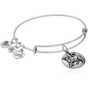 Pulsera Alex And Ani Mujer A16EB59RS