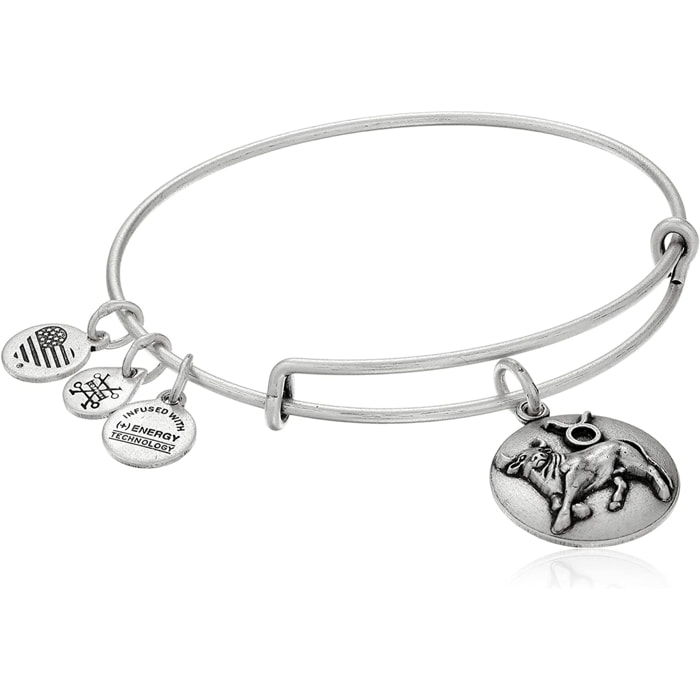 Pulsera Alex And Ani Mujer A16EB59RS