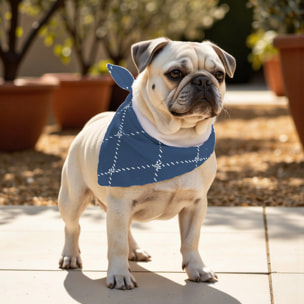 Pack de 2 bandanas pour animaux Benicassim Marine