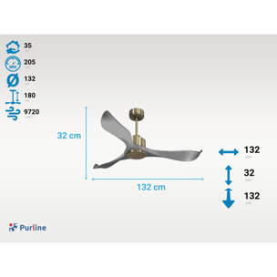 Ventilateur de plafond Réversible  Thermostat Wifi Moteur à courant continu Toits en pente Télécommande Mémoire