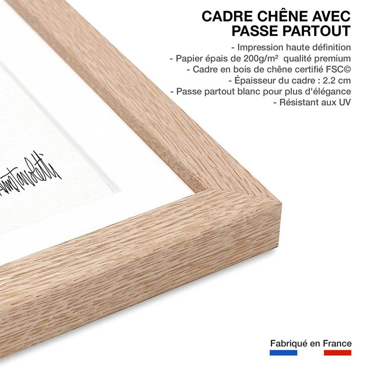 Illustration Botanique et Poterie terre cuite Affiche + cadre en bois - Chêne