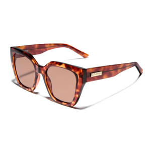 Gafas De Sol D. Franklin Rizz Tort /Brown