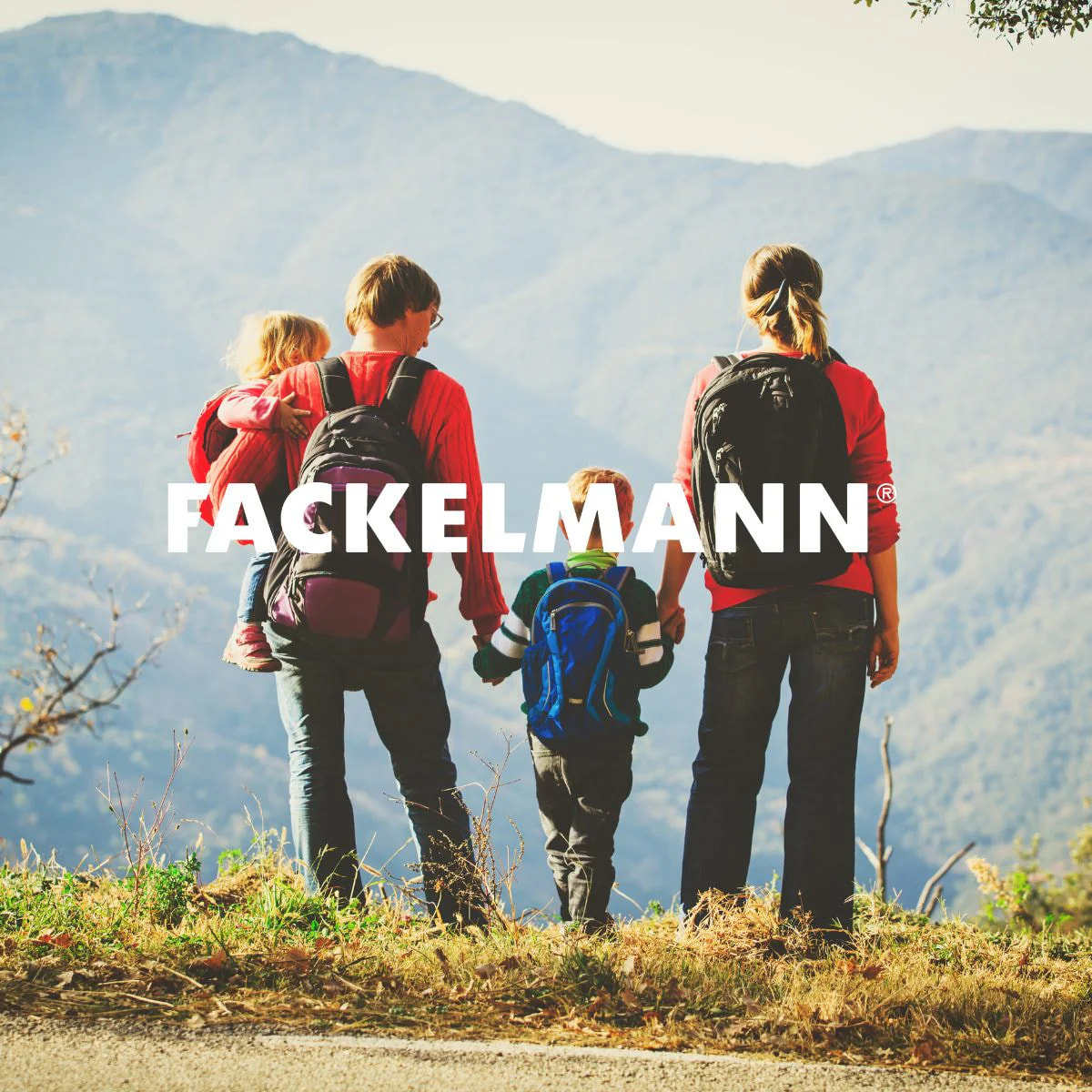 Petit mousqueton porte clé Fackelmann Tecno
