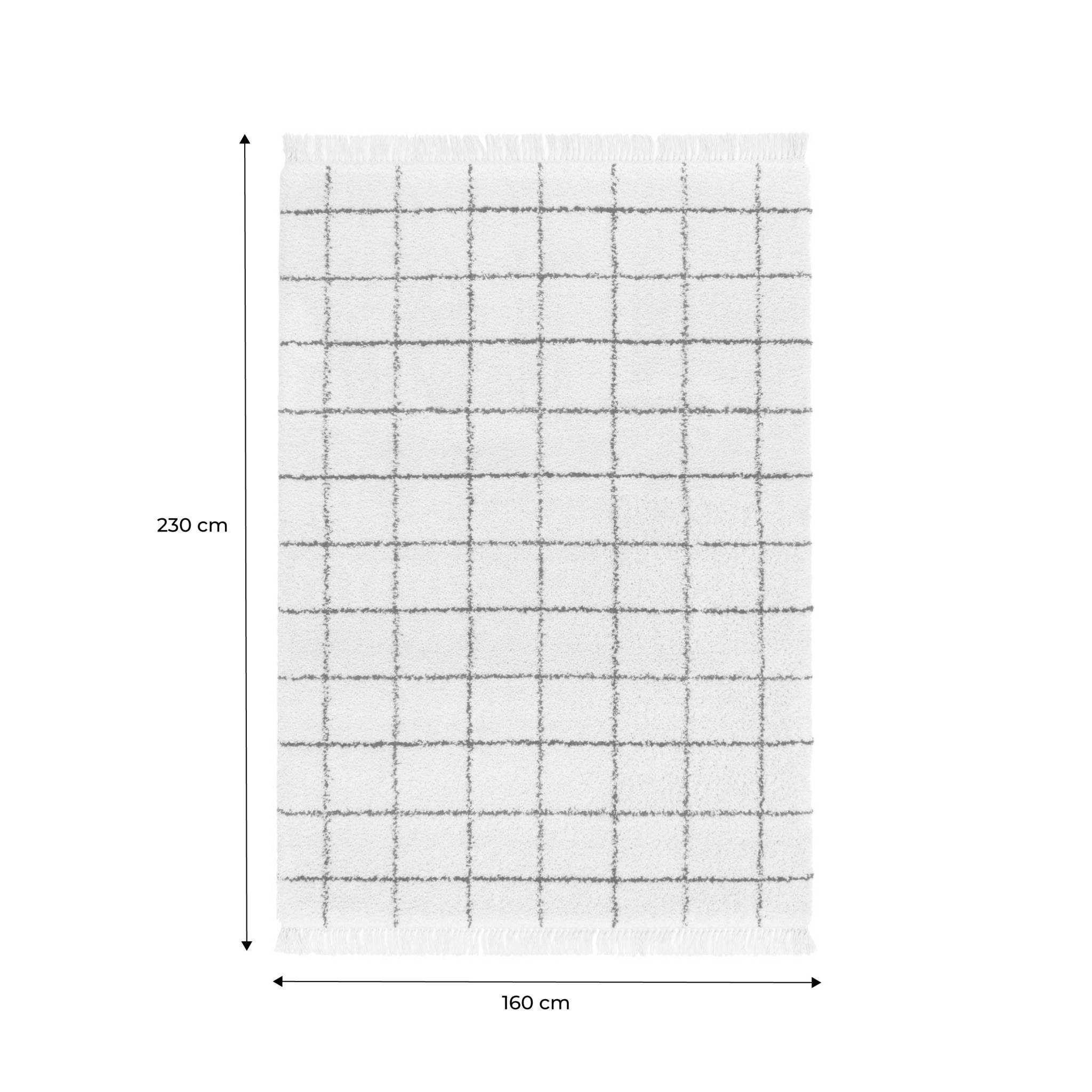 Tapis intérieur shaggy motif quadrillage multicolore avec franges Edward 160x230cm