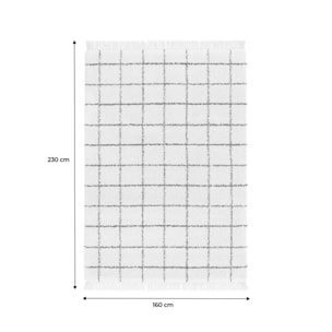 Tapis intérieur shaggy motif quadrillage multicolore avec franges Edward 160x230cm