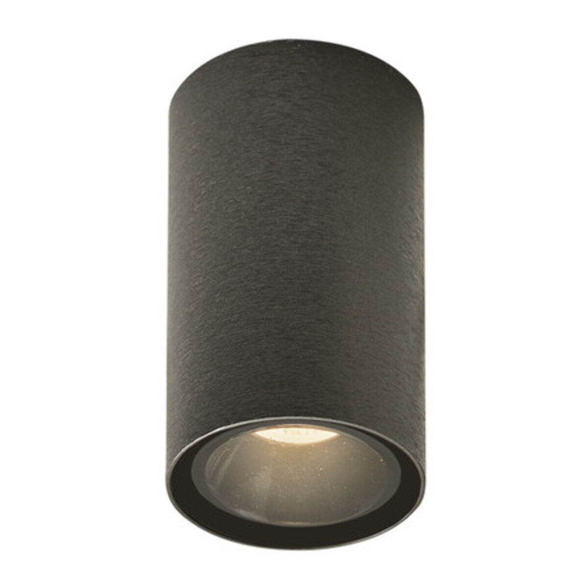 ARGO Lampada da soffitto Titanio