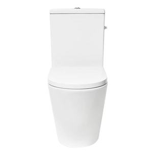 Project ensemble WC à poser sans bride & mécanisme de chasse GEBERIT + abattant SoftClose, blanc brillant (SATPRO31G)