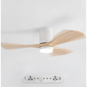 Ventilador de techo FLOW22 con luz LED y mando a distancia
