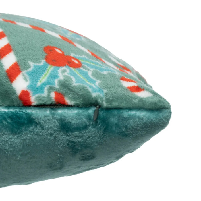 Coussin houx 40x40cm