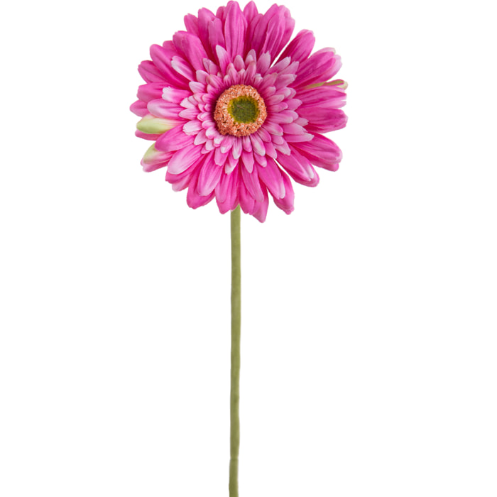 Fiore Di Gerbera Singolo. Altezza 62 Cm - Pezzi 12 - 12X62X12cm - Colore: Viola - Bianchi Dino - Fiori Artificiali