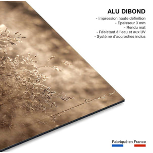Tableau fleurs field grass Tableau alu Dibond