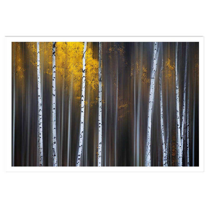 Affiche paysage Rideau d'automne Affiche seule