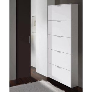 Scarpiera Anatra, Armadio portascarpe a 5 ante a ribalta, Scarpiera alta da ingresso, Scarpiera moderna, 70x17h180 cm, Bianco lucido