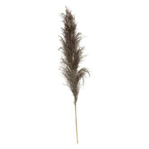 3 fleurs séchées "Pampa brune" H110cm