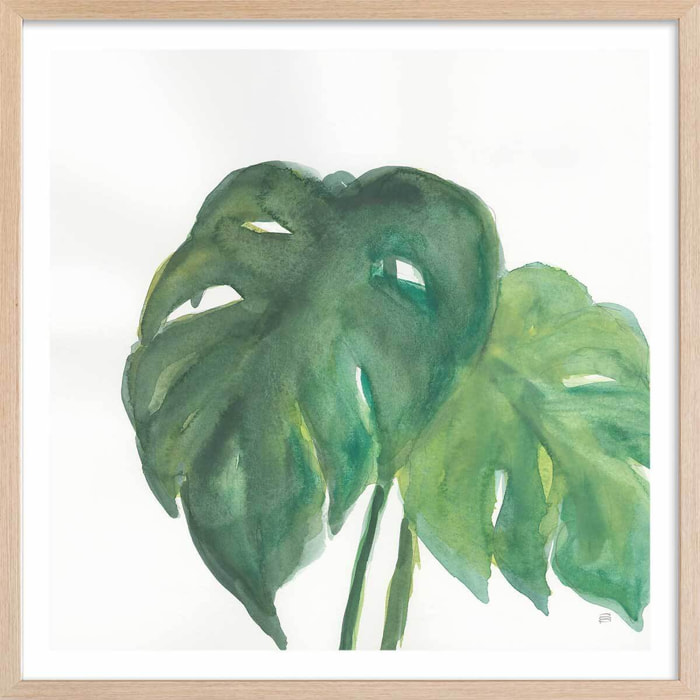 Affiche Plante monstera watercolor Affiche + cadre en bois - Chêne