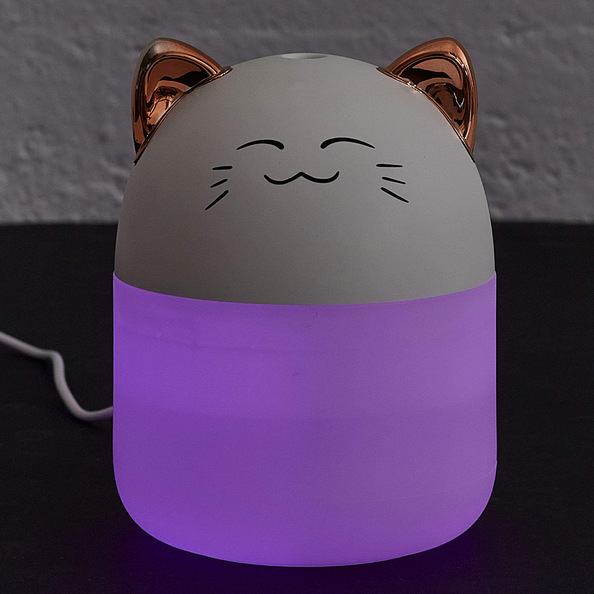 Diffuseur Chat Led