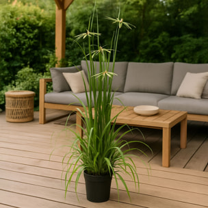 Plante graminée avec fleurs artificielle h150cm AQUAPLANTER