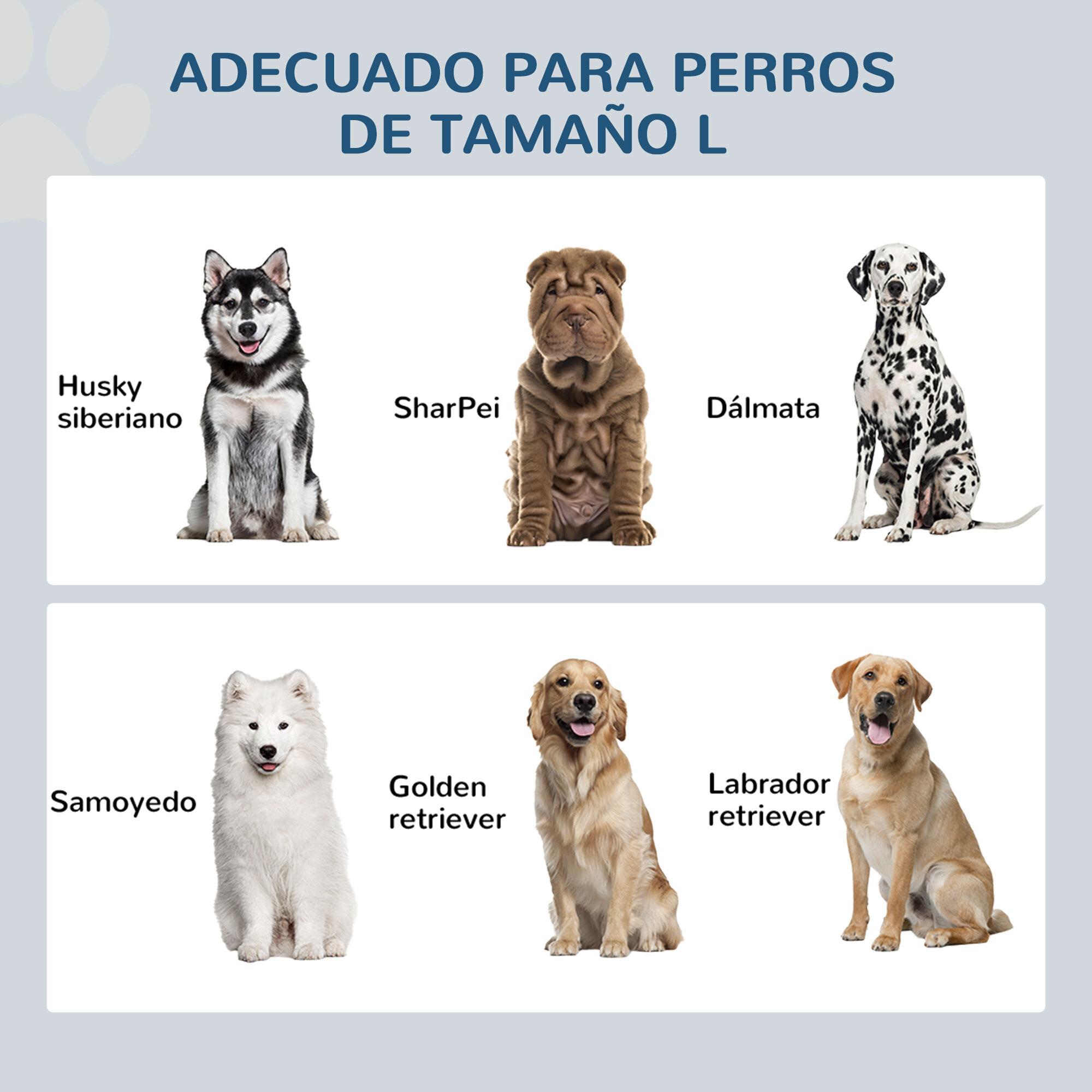 Comedero Elevado para Perros Grandes Cuencos para Perros con 2 Tazones 2000ml de Acero Inoxidable y Cajón Oculto Soporte de Madera para Mascotas 60x30x36 cm Gris y Blanco