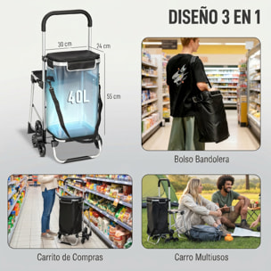Carrito de Compra Plegable 3 en 1 de 40 L de Aluminio con Asiento Colapsable, Bolsa Térmica Extraíble, Carro de la Compra con 6 Ruedas y Asa Ajustable, para Supermercado, Negro