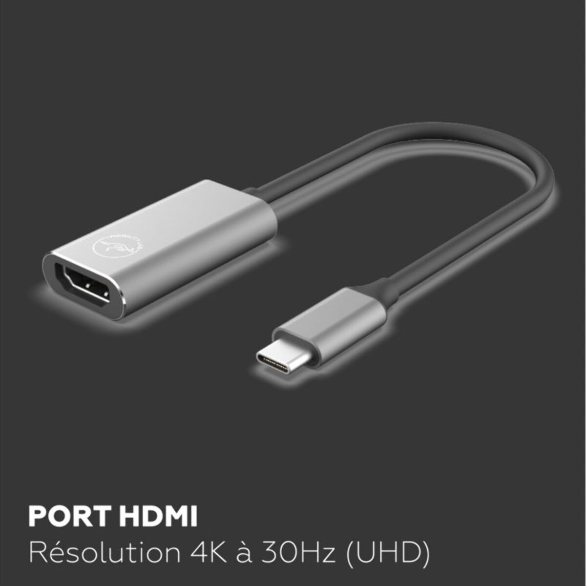 Adaptateur USB-C/HDMI MOBILITY LAB USB-C - HDMI 30HRZ GS