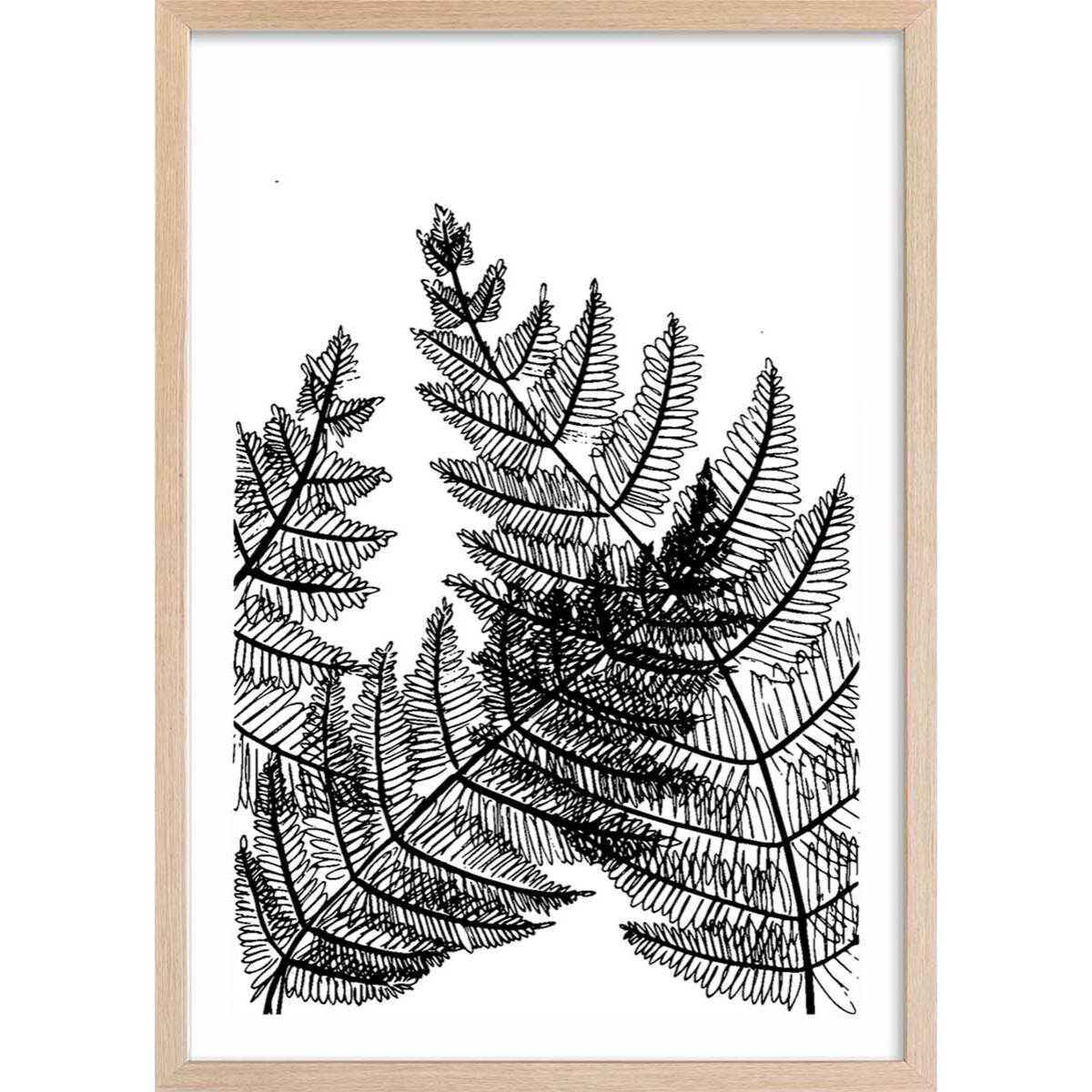 Poster landes fougères Affiche + cadre en bois - Chêne