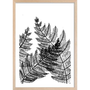 Poster landes fougères Affiche + cadre en bois - Chêne