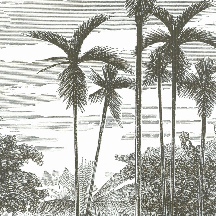 Abattant wood slim avec descente assistée imprimé de cocotiers - Gris clair