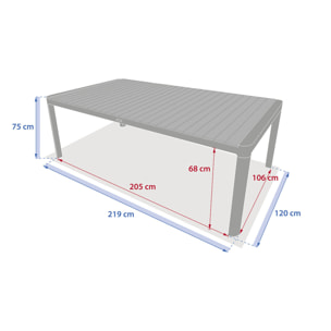 Table de jardin rectangulaire "Paradize" noyer & graphite 10 places en aluminium