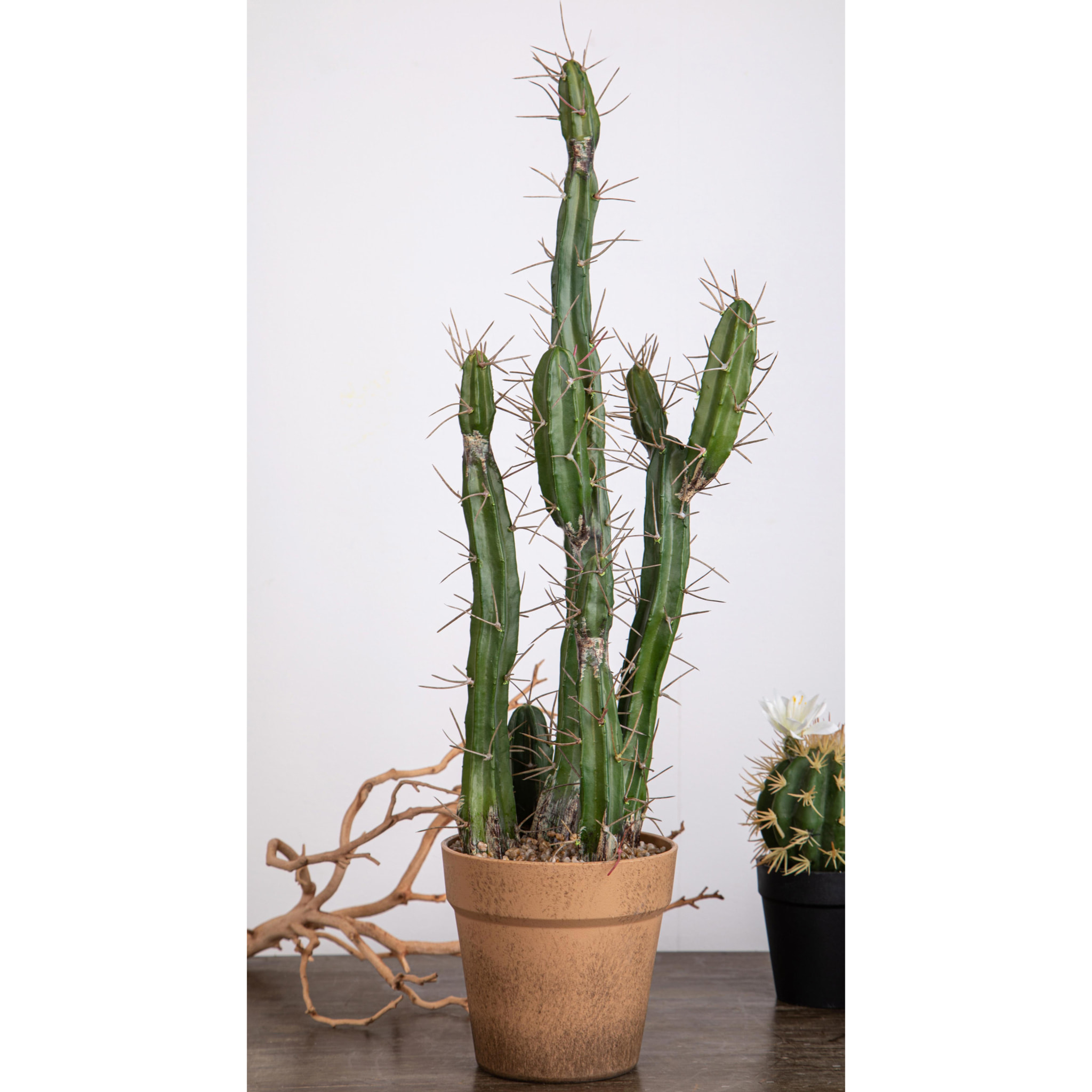 Cactus Con Vaso. Altezza 61 Cm - Pezzi 1 - 25X61X25cm - Colore: Verde - Bianchi Dino - Piante Artificiali