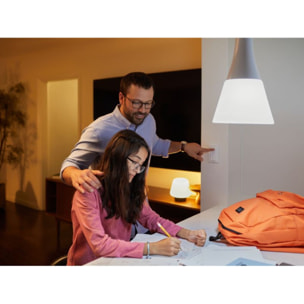 Pack PHILIPS HUE White E27 x3 + pont + tlc