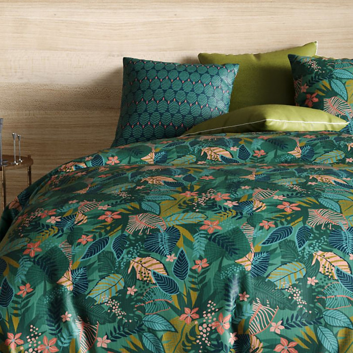 Parure housse de couette coton fougère