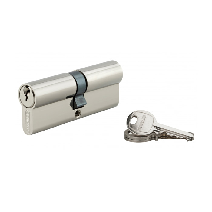 Cylindre de serrure double entrée SA, 30 x 50 mm, anti-arrachement, nickel, 3 clés - 1 pièce - THIRARD - 00016286