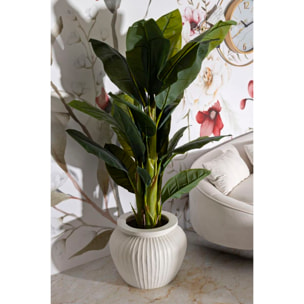 VASO CHIL CM Ø 48X38