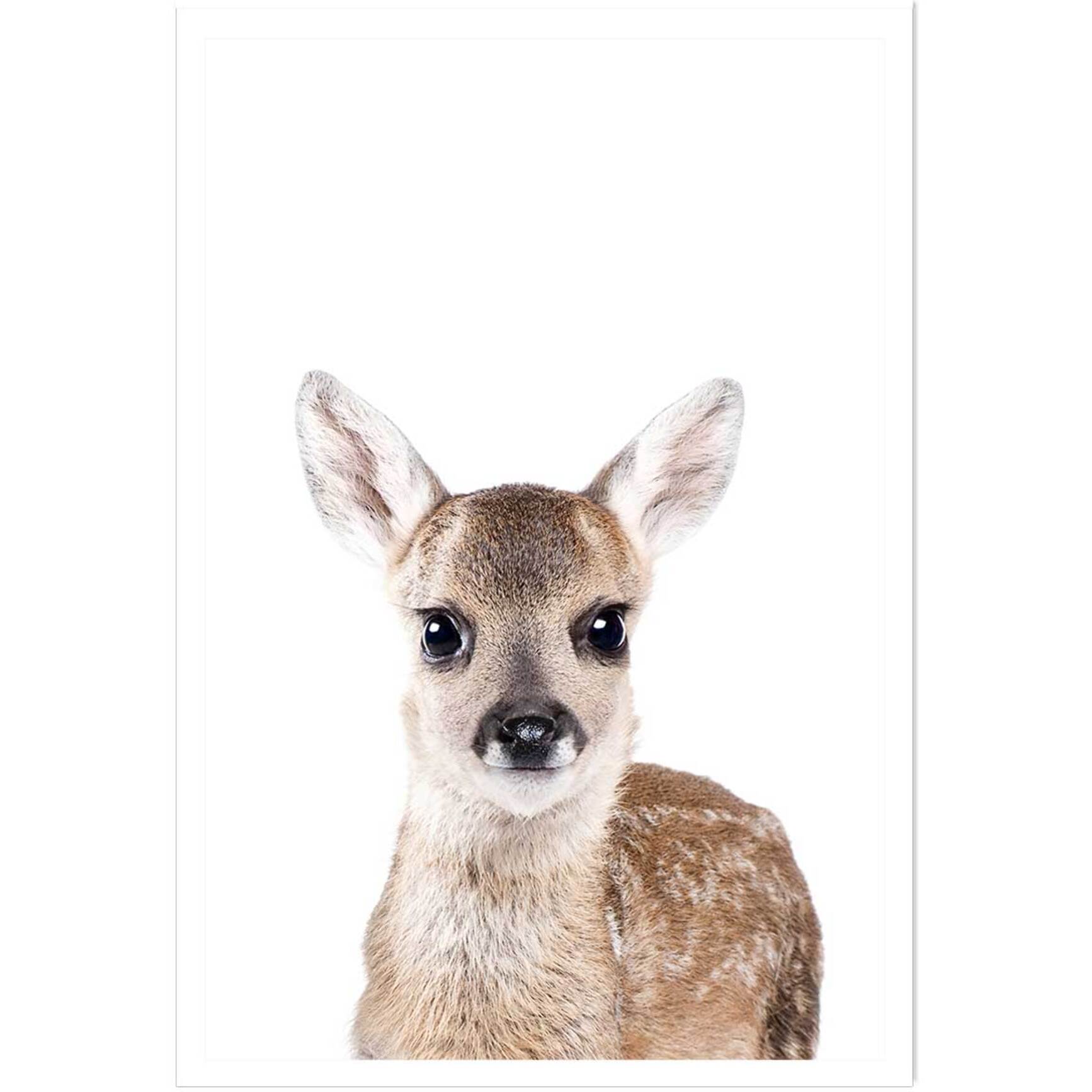 Affiche enfant bébé biche  Affiche seule