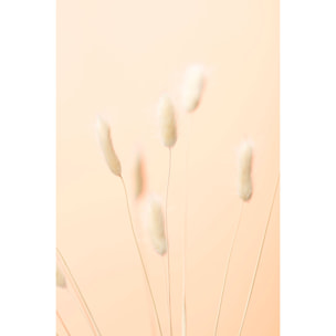 Tableau scandi pampa Tableau alu Dibond