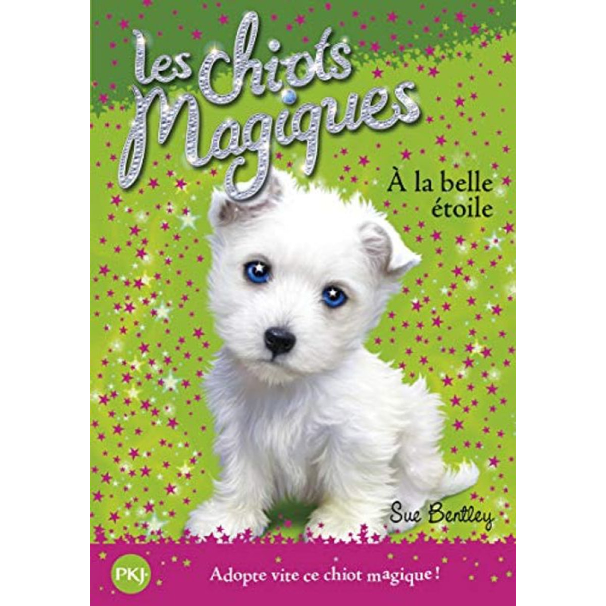 Bentley, Sue | Les chiots magiques - tome 06 : À la belle étoile (06) | Livre d'occasion