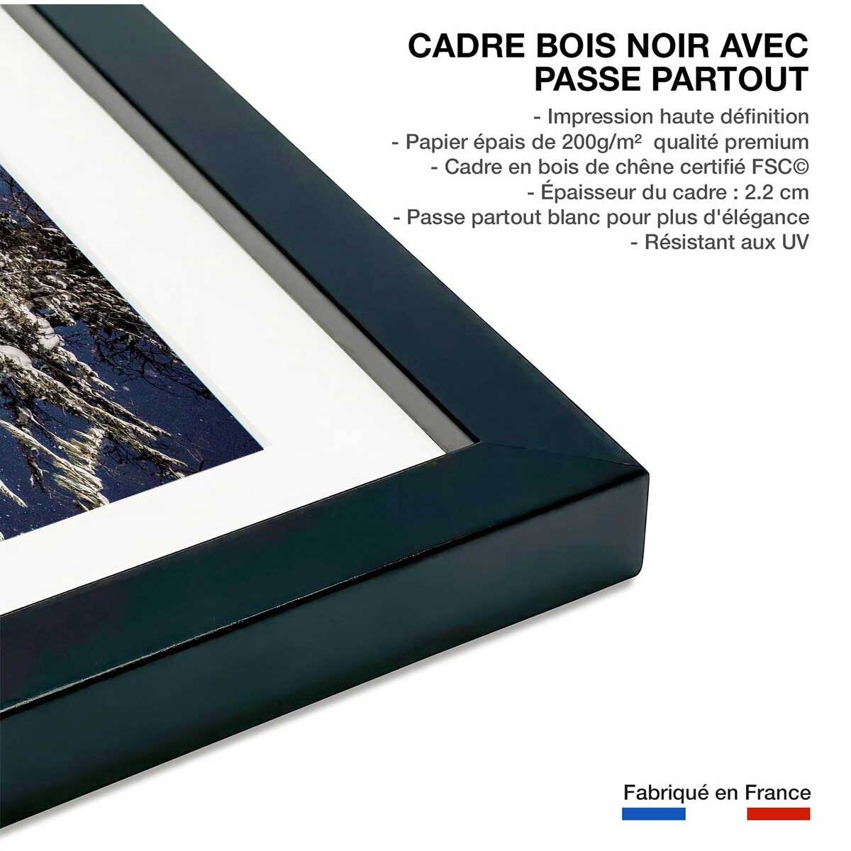 Poster freeride ski session Affiche + cadre en bois - Noir