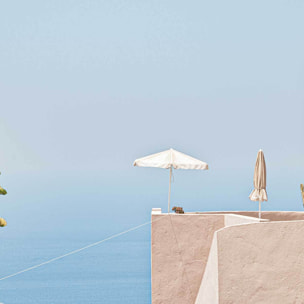 Tableau agave au bord de mer Toile imprimée