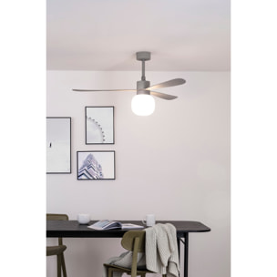 AMELIA L BALL LED ventilatore da soffitto grigio